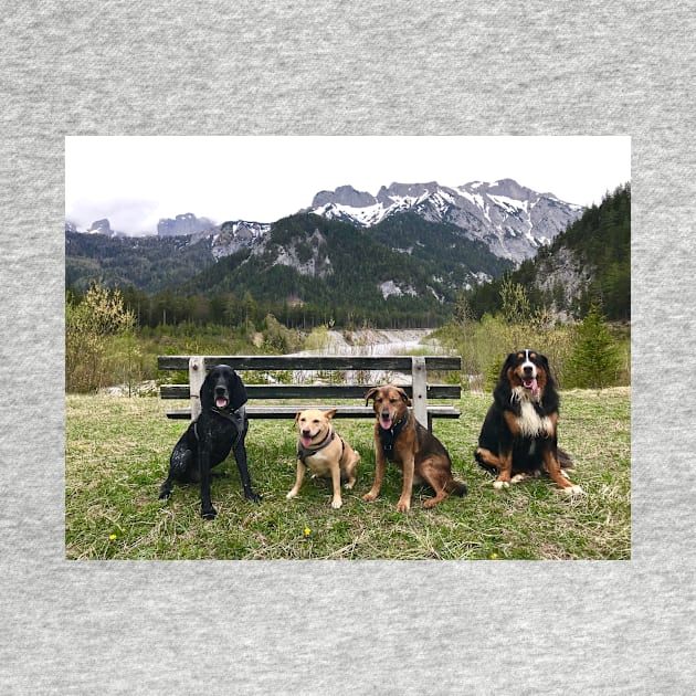 Four Pawed Friends Forever by ephotocard